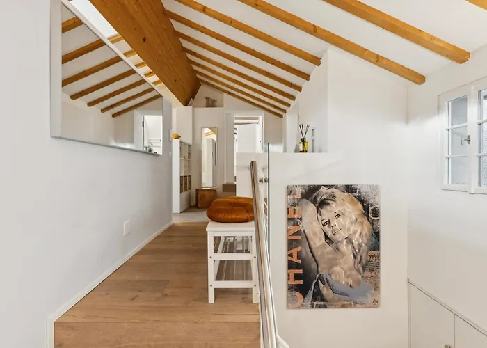 Old Town Diamond Penthouse Ac Private Rooftop Apartment Zurich